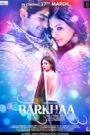 Barkhaa