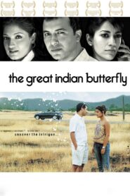 The Great Indian Butterfly